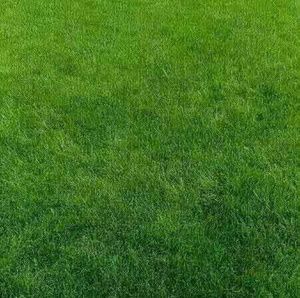 Meet your Posher, Yang